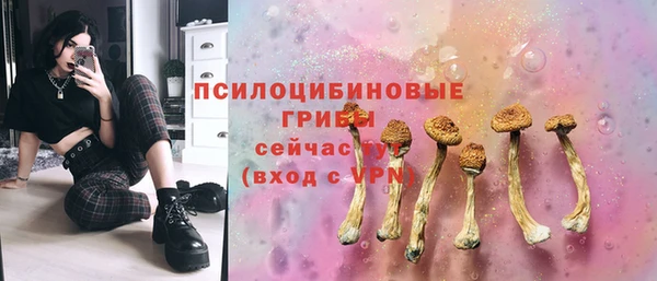 гашик Балабаново