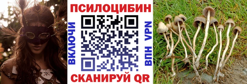 Псилоцибиновые грибы Psilocybine cubensis  Купить закладки  Гаврилов Посад 