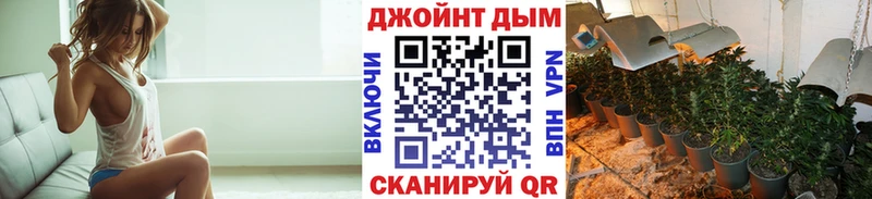 Купить  Гаврилов Посад  Каннабис SATIVA & INDICA 